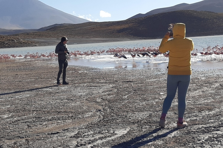 2-Days Salt Flats private roundtrip from Uyuni in rains