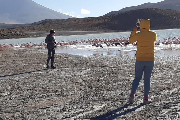 2 jours d'excursion privée dans les plaines salées au départ d'Uyuni en pluies