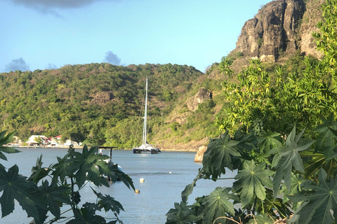 Guadeloupe:half Day on catamaran les Saintes, terre de haut