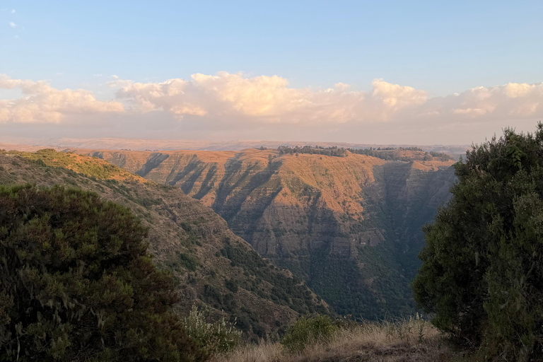 Gondar: Simien Mountains 4-Day Guided Trekking Tour