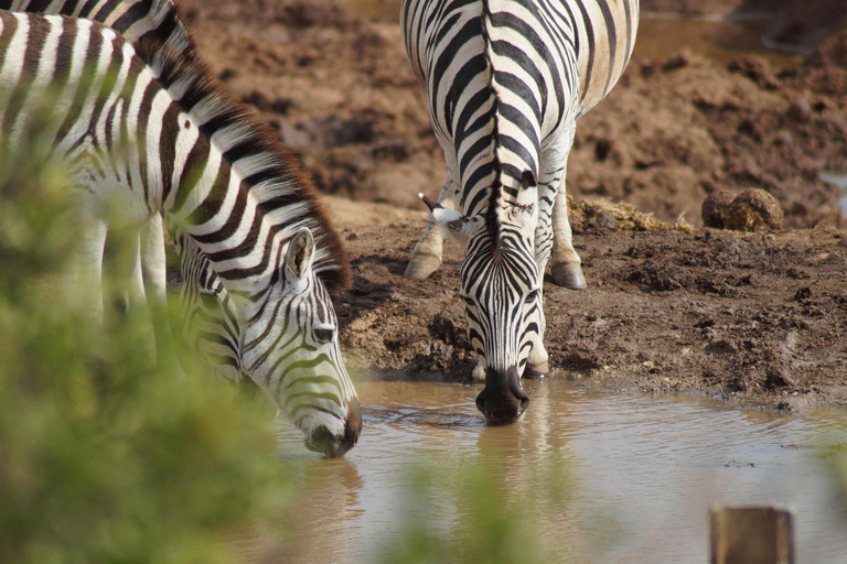 Watamu: Airport Transfer