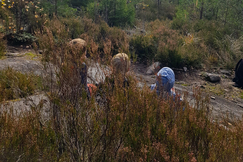 Oslo: Østmarka National Park Guided Hike with Food over Fire