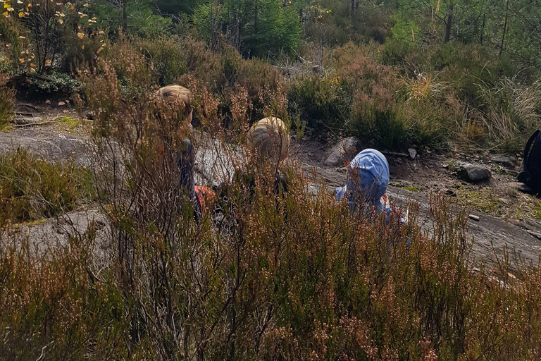 Oslo: Østmarka National Park Guided Hike with Food over Fire