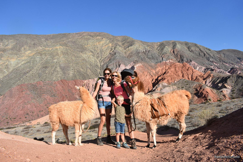 Purmamarca: Hiking with Llamas through multicolored mountains