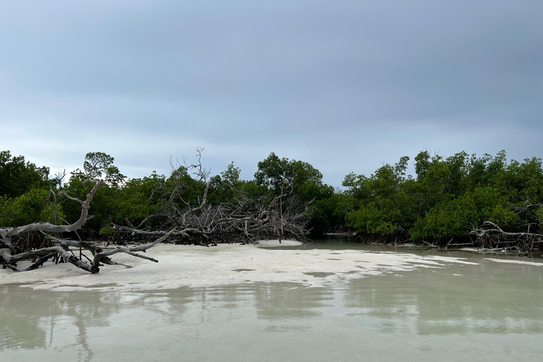 Aventura privada en un banco de arena en el interior de Cayo Hueso