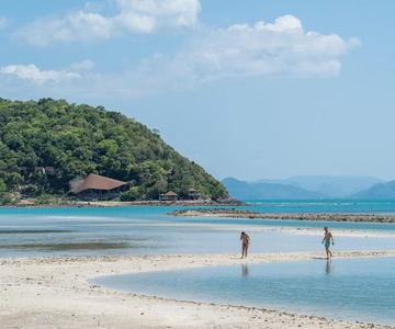Koh Samui: Island Hopping Adventure in Coral and Pig Island