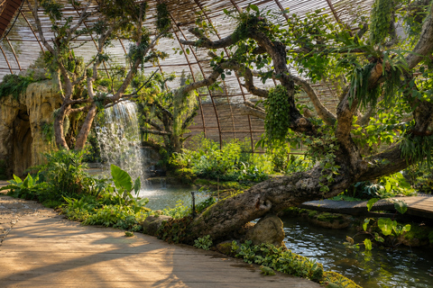 La Forêt Nature Escape with Transfer & Boat Ride for 2