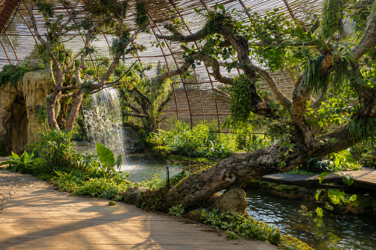 La Forêt Nature Escape with Transfer & Boat Ride for 2
