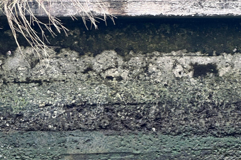 First Time in Bangkok? Bangkok first comer!