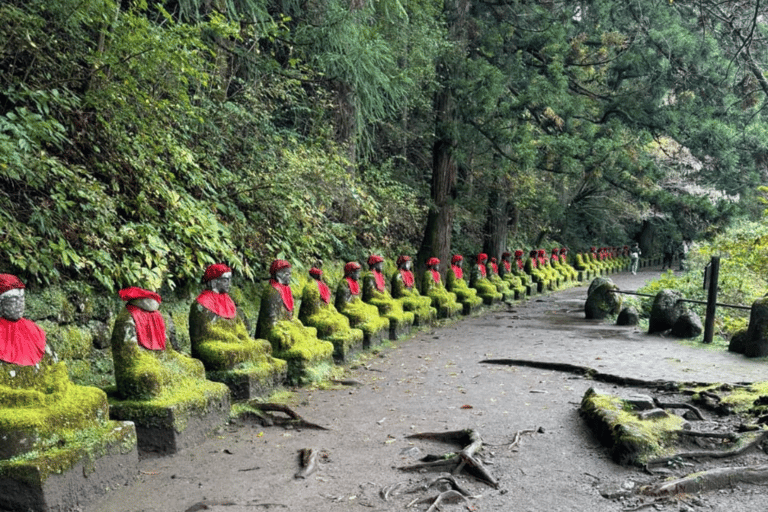 Tokyo: Nikko Kegon Falls Lake Chuzenji Toshogu Temple & More From Tokyo: Nikko Unesco Customised Private Tour In Prado