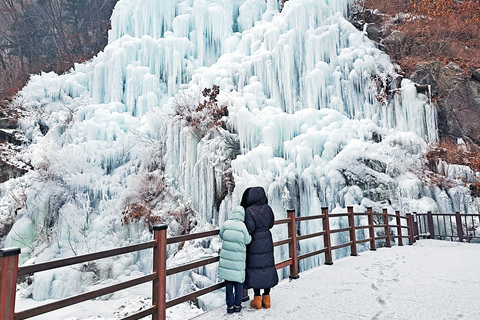 Seoul: Elysian Ski + Eobi Ice Valley + NamiPartenza dalla stazione DDP Uscita 9 - Slitta