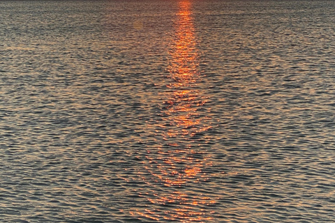 Rio Lagartos et Las Coloradas : EcoSafari Flamingo DeluxRio Lagartos et Las Coloradas : EcoSafari Flamingo Deluxe