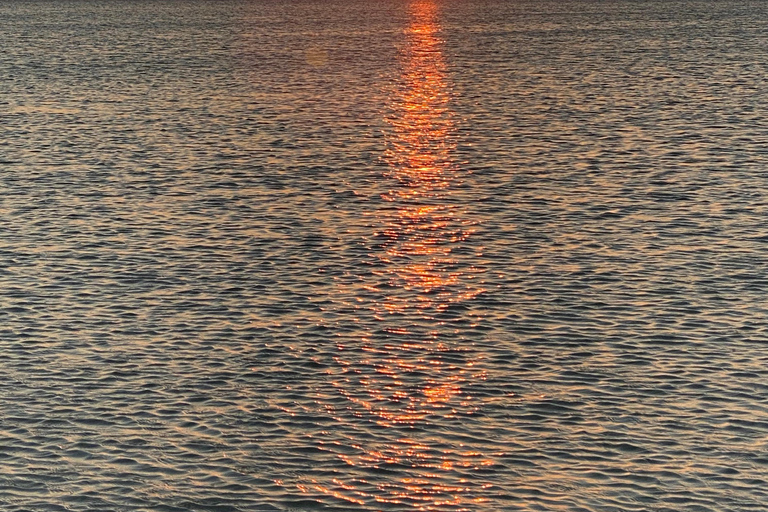 Rio Lagartos et Las Coloradas : EcoSafari Flamingo DeluxRio Lagartos et Las Coloradas : EcoSafari Flamingo Deluxe