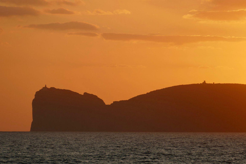 Porto Conte: Half-day catamaran tour with aperitif