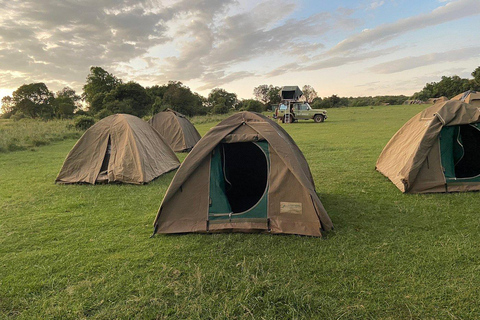 Serengeti: 6-tägige Camping Safari &amp; Materuni Kaffee TourSerengeti: 6-tägige Camping-Safari &amp; Materuni Kaffee-Tour