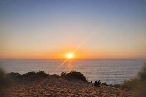Santiago: Valparaiso, Llama Vineyard & Concon Dune Sunset