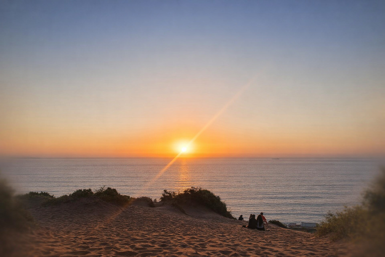 Santiago: Valparaiso, Llama Vineyard & Concon Dune Sunset