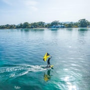 Negril Day Trip to Seven Mile Beach and Rick's Cafe | GetYourGuide