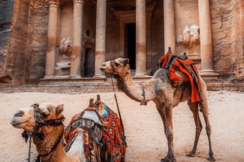 Passeio de um dia inteiro de Amã a Petra com passeio a cavalo no deserto