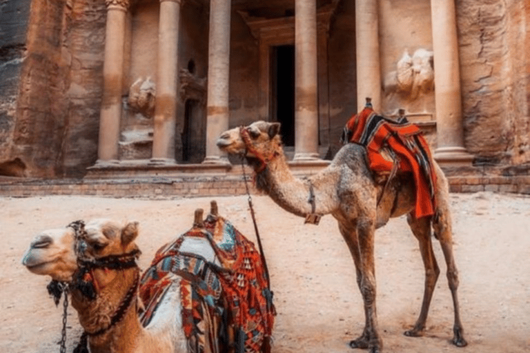 Passeio de um dia inteiro de Amã a Petra com passeio a cavalo no deserto