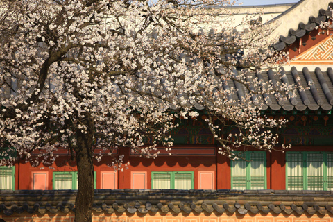 Seúl: Visita al Palacio de Gyeongbokgung y Comida en el Mercado Auténtico