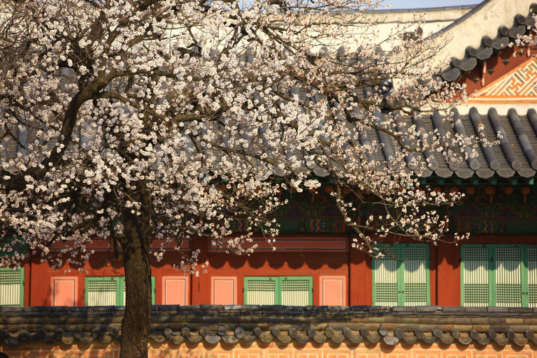 Seoul: Gyeongbokgung-palatset Rundtur i Gyeongbokgung-palatset och lunch på autentisk marknad