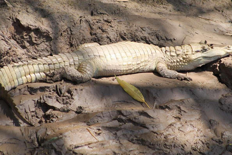 EXCURSIÓN DEL MONO 2D/1N