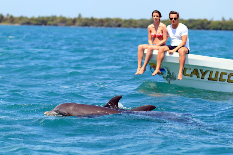 Depuis Tulum : Excursion en bateau à Sian Kaan avec déjeuner