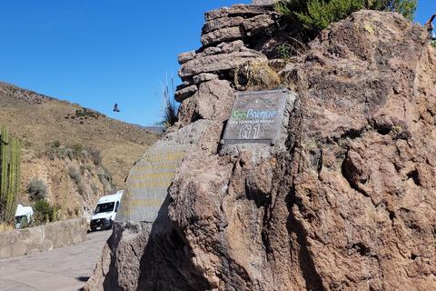 From Arequipa: Colca Canyon Day Hike