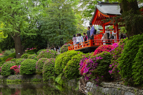 Tokyo: Yanesen Cultural & Hidden Gems Guided Walking Tour
