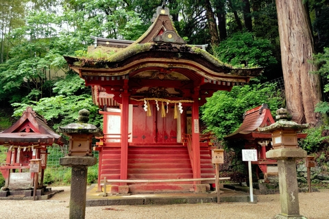 Nara: Explore Tanzan Shrine’s Pagoda and Sacred History