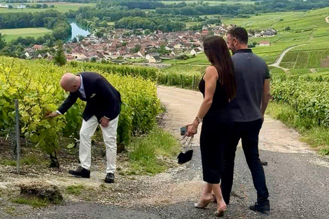 Champagne Tour from Paris: Small Group, Tastings & Pickup