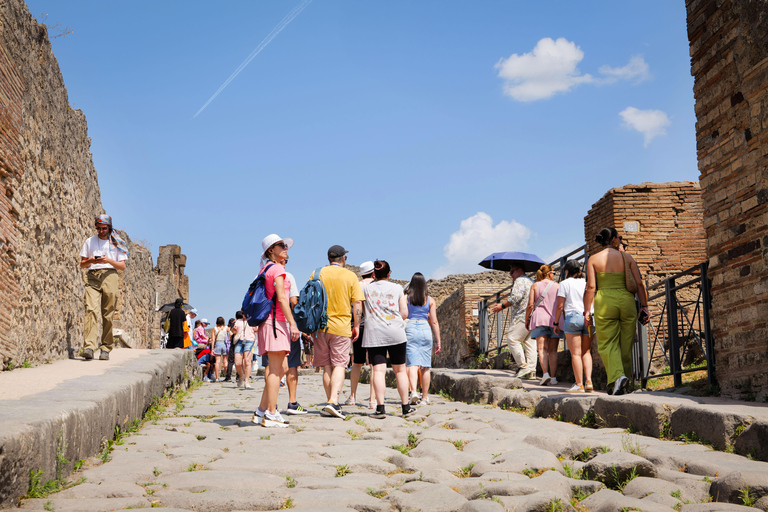 From Naples Port: Pompeii Guided Walking tour or smart guide English guided tour