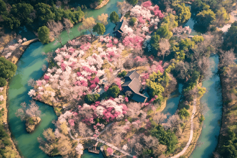 Hangzhou Xixi Wetland: Off the Beaten Path Rowboat & Stroll