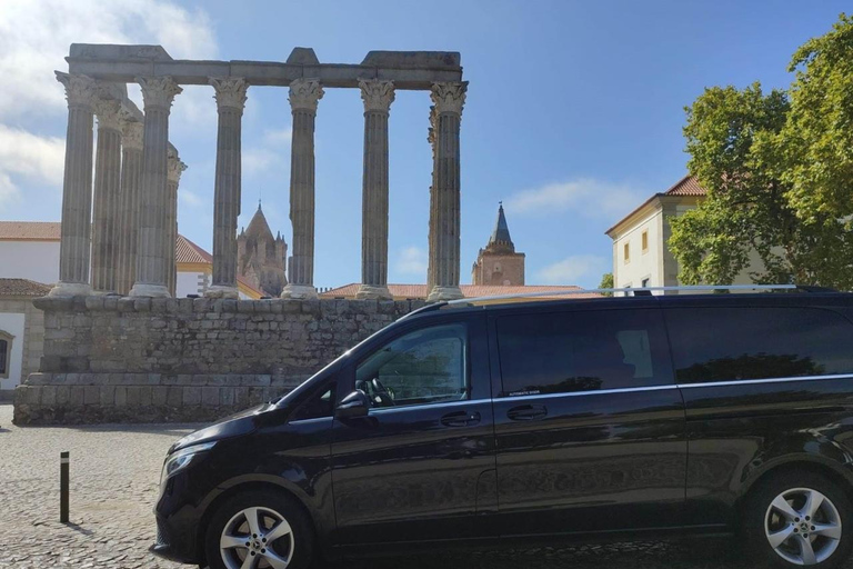 Private day tour to Évora: cork, factory, winery & the city