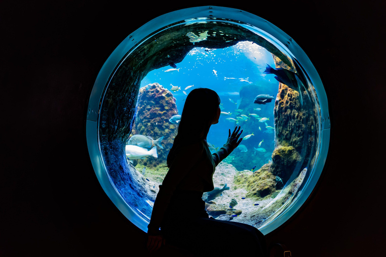 Acquario di Enoshima: Biglietto d&#039;ingresso