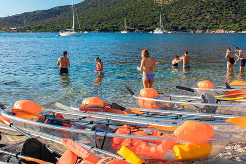 Golfo Aranci: transparent or traditional kayak, dolphins, and aperitif Sunset Tour in a Traditional Kayak with Aperitivo and Dolphins