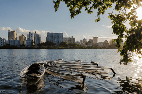 San Juan: Glass-Bottom Kayak Rental at Condado Lagoon