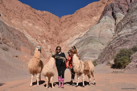 Purmamarca: Hiking with Llamas through multicolored mountains