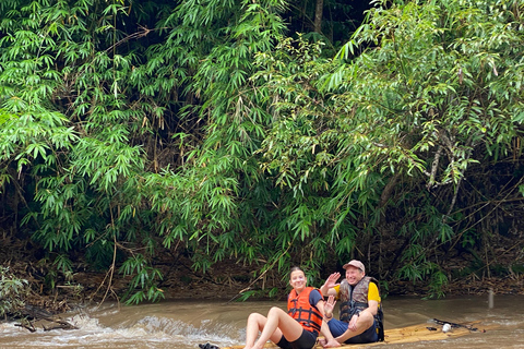 Chiang Mai: Ethical Elephant Experience with Bamboo Rafting
