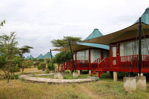 Nairobi: Amboseli National Park Tagestour mit Masai Dorf