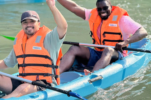 5-Star Ha Long Day Cruise with Jacuzzi, Lunch & Free Drink Day Cruise With Meal