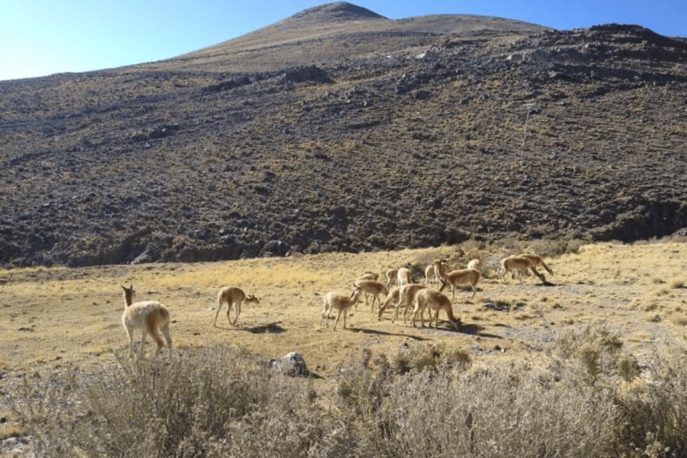 Salta : Serranías de Hornocal et Quebrada de Humahuaca