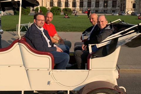 Visita turística en coche eléctrico de época (hasta 5 personas)Visita turística en coche eléctrico de época 60 Min.