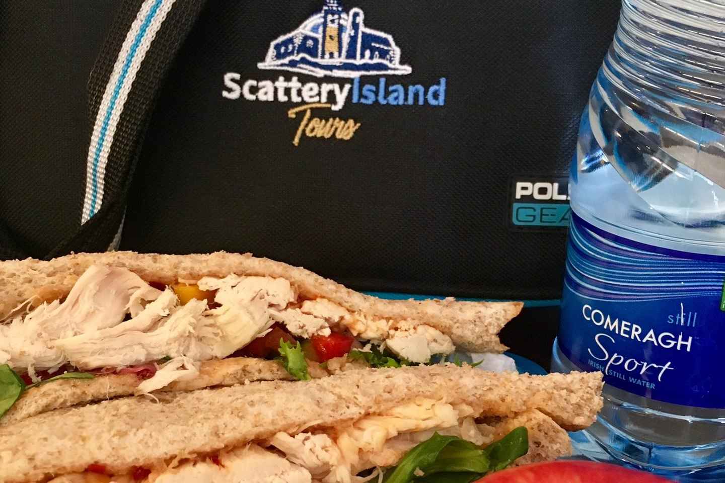 Kilrush: Scattery Island Guided Walking Tour