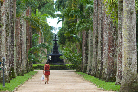 Rio de Janeiro: Tijuca National Park & Botanic Garden Tour