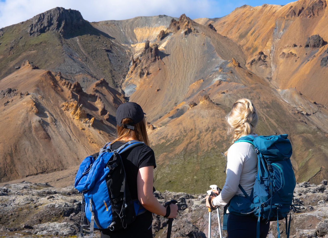 Reykjavik: Vandretur i højlandet ved Landmannalaugar og varme kilder