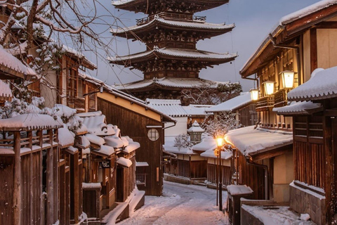 From Osaka: 5-Day Japan Highlights Tour to Tokyo