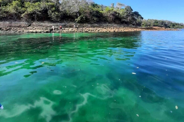 Panama City: Whale Watching Tour with Island Stop
