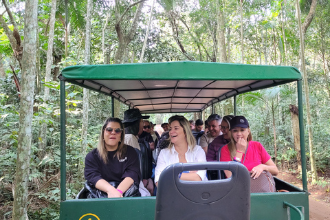 Iguazu Extreme Day: Sunrise, São João Trail & Macuco Safari